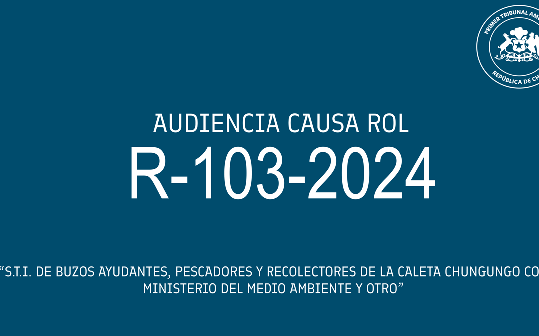 Audiencia de alegatos de S.T.I. de Buzos, ayudantes, pescadores y recolectores de la caleta Chungungo con Ministerio del Medio Ambiente