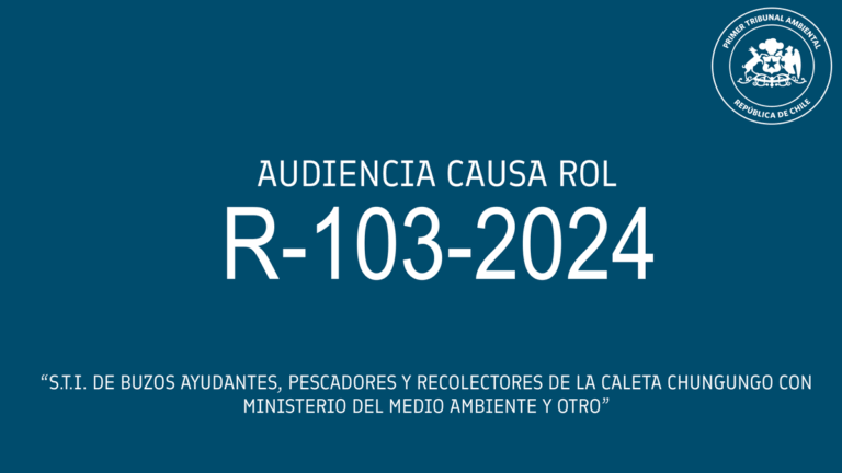 Audiencia de alegatos de S.T.I. de Buzos, ayudantes, pescadores y recolectores de la caleta Chungungo con Ministerio del Medio Ambiente