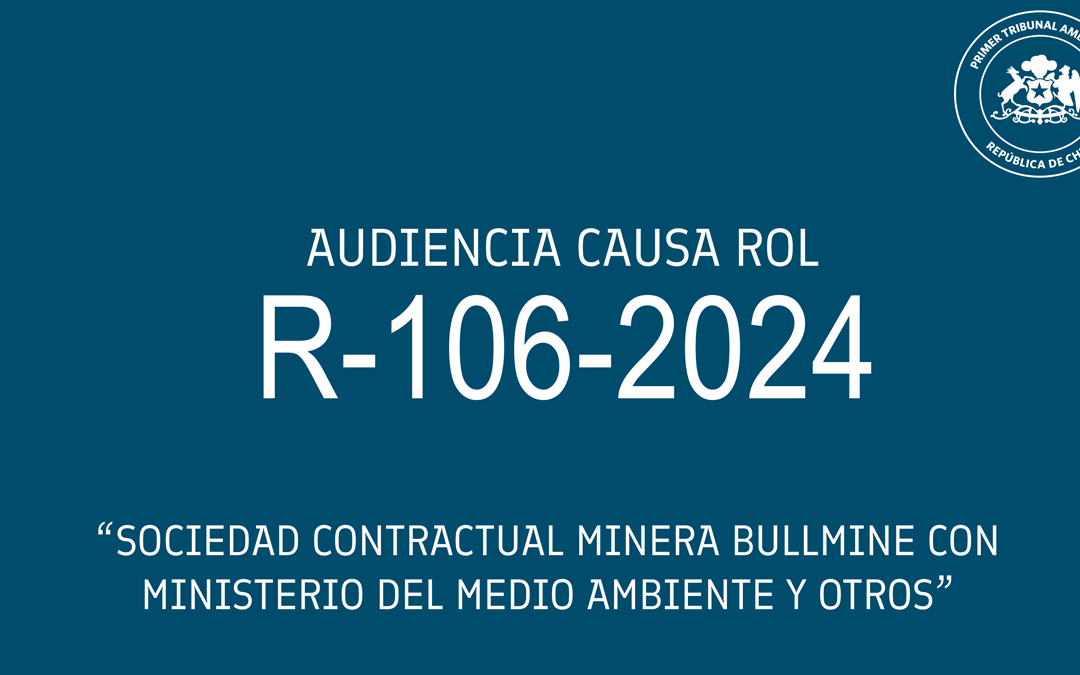 Audiencia de alegatos de Sociedad Contractual Minera Bullmine con Ministerio del Medio Ambiente y otros»