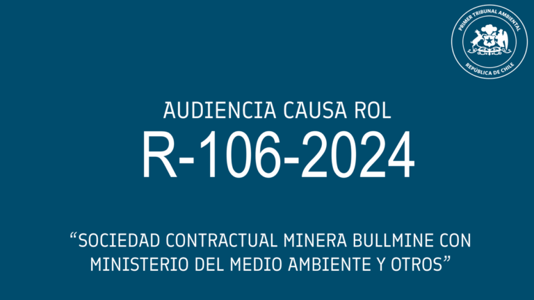 Audiencia de alegatos de Sociedad Contractual Minera Bullmine con Ministerio del Medio Ambiente y otros»