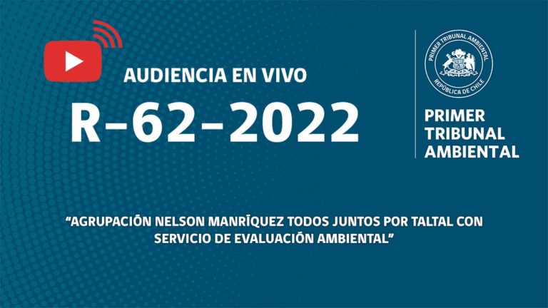 Ahora: audiencia «Agrupación Nelson Manríquez Todos Juntos por Taltal con Servicio de Evaluación Ambiental»