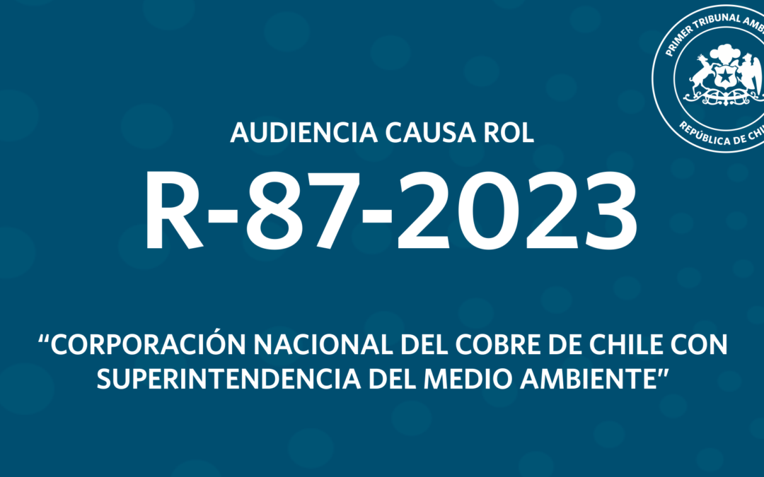 Ahora: audiencia R-87-2023 «Corporación Nacional del Cobre de Chile con Superintendencia del Medio Ambiente»»