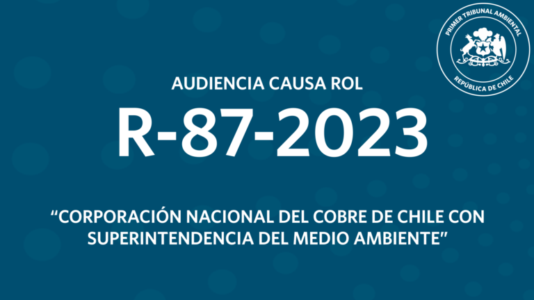 Ahora: audiencia R-87-2023 «Corporación Nacional del Cobre de Chile con Superintendencia del Medio Ambiente»»