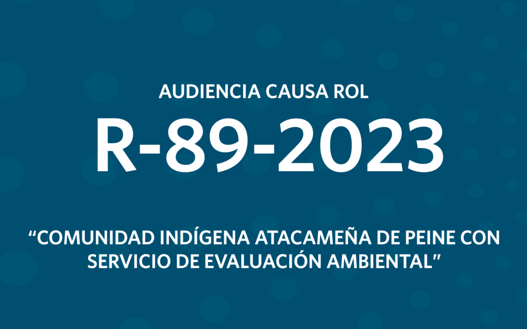 Audiencia R-89-2023 «Comunidad Indígena Atacameña de Peine con Servicio de Evaluación Ambiental»