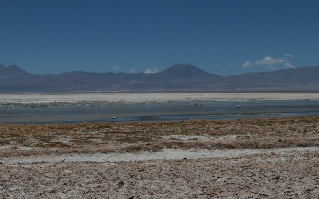 Con la exigencia de nuevos compromisos y estudios que aseguran la indemnidad del daño ambiental el Primer Tribunal Ambiental aprueba avenimiento entre Codelco y Consejo de Defensa del Estado