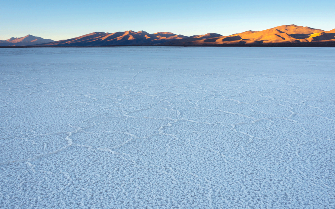 Comunidad indígena Colla reclama ante el Primer Tribunal Ambiental por proyecto que pretende extraer salmuera del Salar de Maricunga