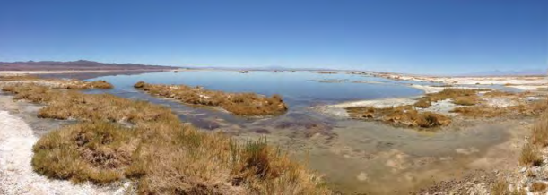 Consejo de Defensa del Estado demanda a tres mineras por daño ambiental en Salar de Atacama