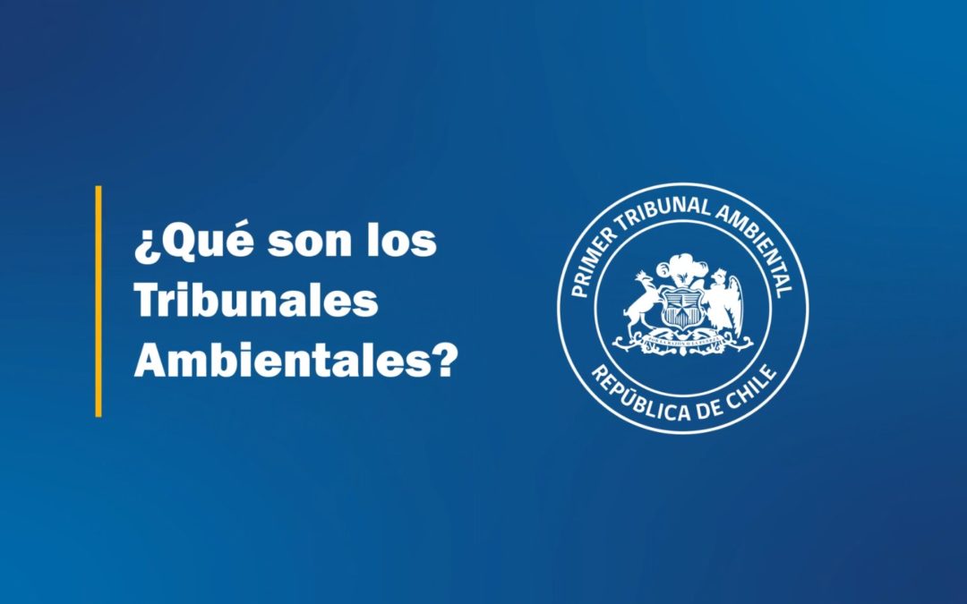 Cápsula 1: ¿Qué son los Tribunales Ambientales?