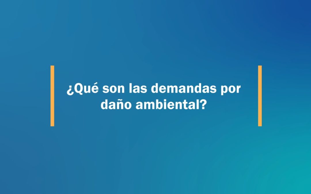 Cápsula 5: ¿Qué son las demandas por daño ambiental?