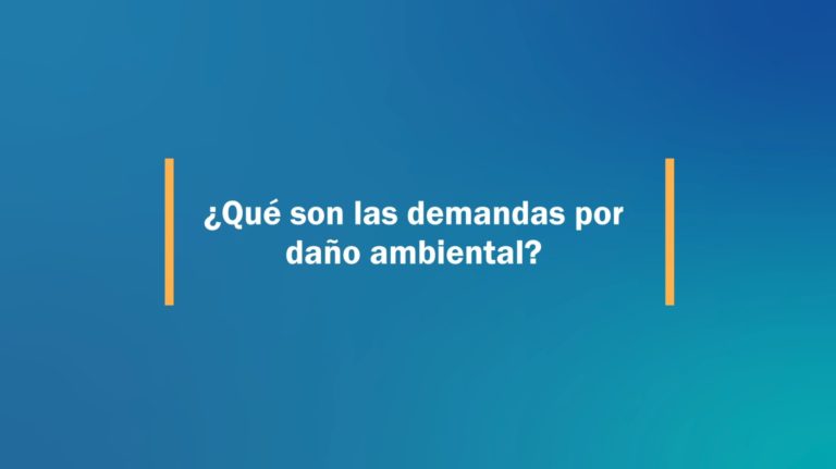 Cápsula 5: ¿Qué son las demandas por daño ambiental?