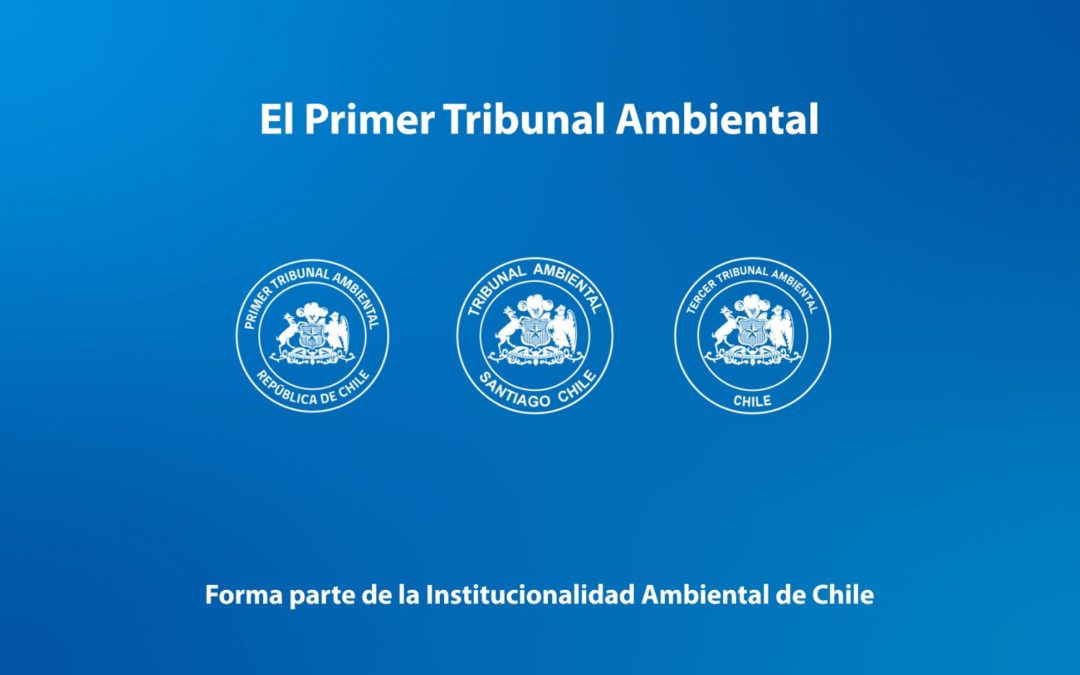 Cápsula 7: El Primer Tribunal Ambiental