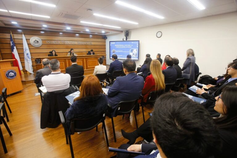 Primer Tribunal Ambiental convocó a expertos para analizar proyecto de modificaciones a la ley de la Superintendencia del Medio Ambiente