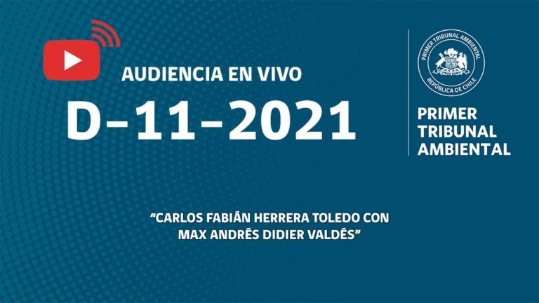 Ahora: audiencia D-11-2021 «Carlos Fabián Herrera Toledo con Max Andrés Didier Valdés»