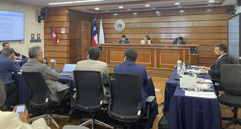 Avances en la demanda por daño ambiental en contra de Compañía Minera Doña Inés de Collahuasi: Primer Tribunal Ambiental realizó audiencia y analizó la declaración de testigos expertos y comunes por supuesta afectación del medio marino