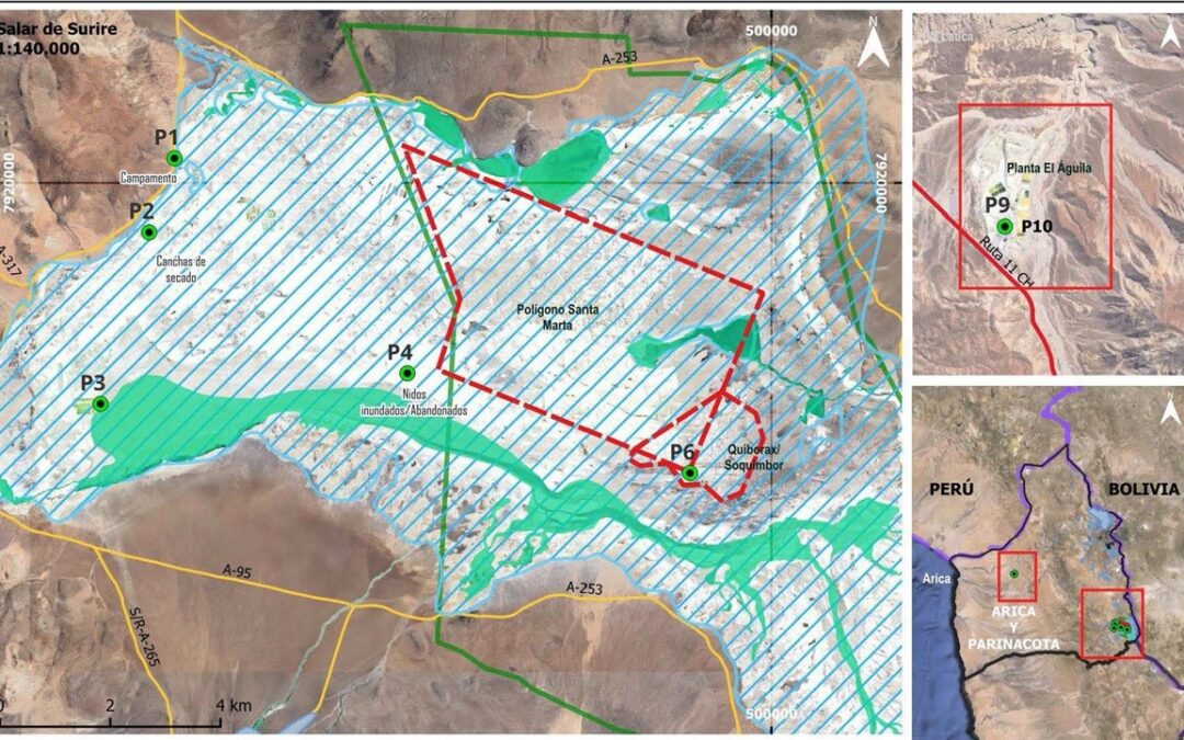 Primer Tribunal realiza visita inspectiva al Salar de Surire por demanda en contra Quiborax