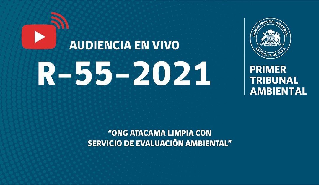 Audiencia en vivo R-55-2021 «ONG Atacama Limpia con Servicio de Evaluación Ambiental»