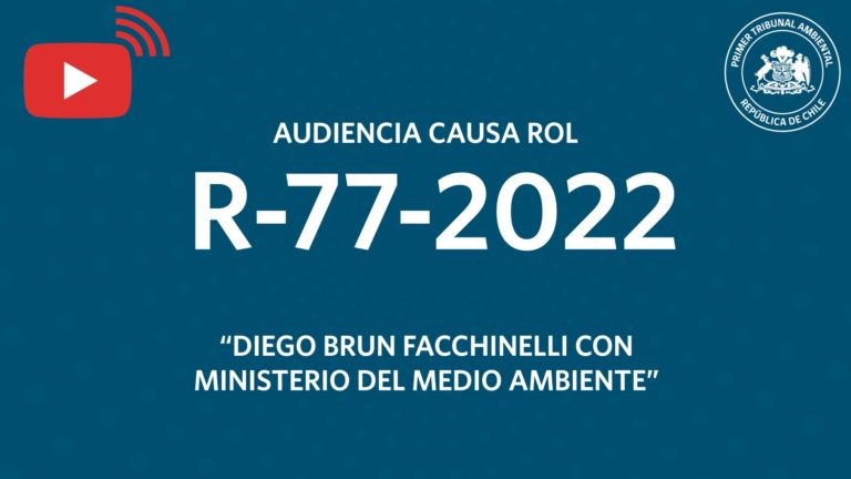 Audiencia R-77-2022 «Diego Brun Facchinelli con Ministerio del Medio Ambiente»