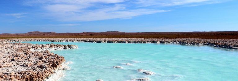 1TA amplía plazo de detención de pozos de Salar de Llamara