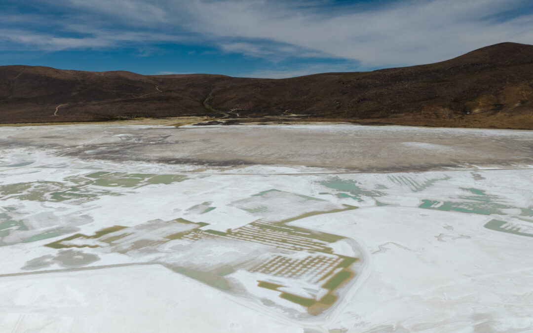 Primer Tribunal Ambiental extiende régimen cautelar para las operaciones de la empresa Quiborax en el Salar de Surire hasta el 31 de mayo de 2025